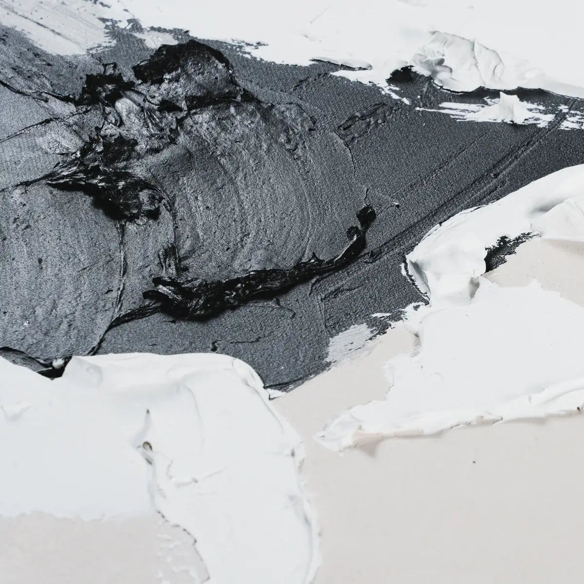 Black And White Abstract Art #CXH010 Details