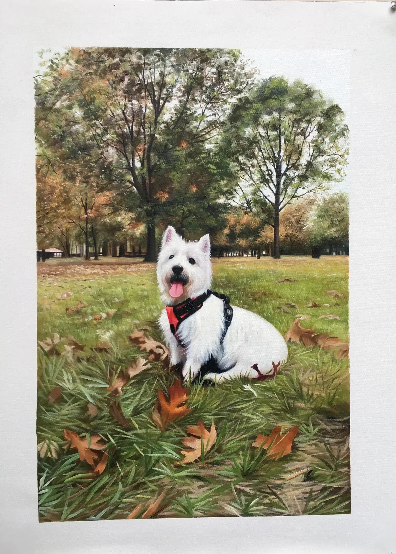 White dog with a red collar sitting on grass in a park