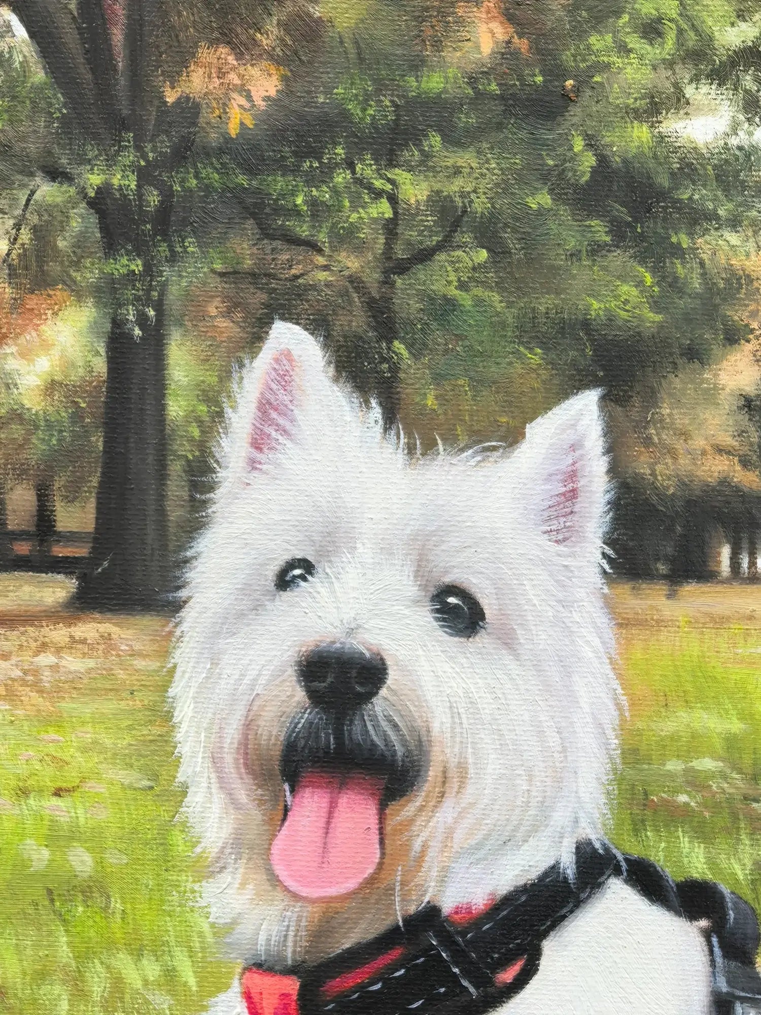 White dog with a black collar in a park setting