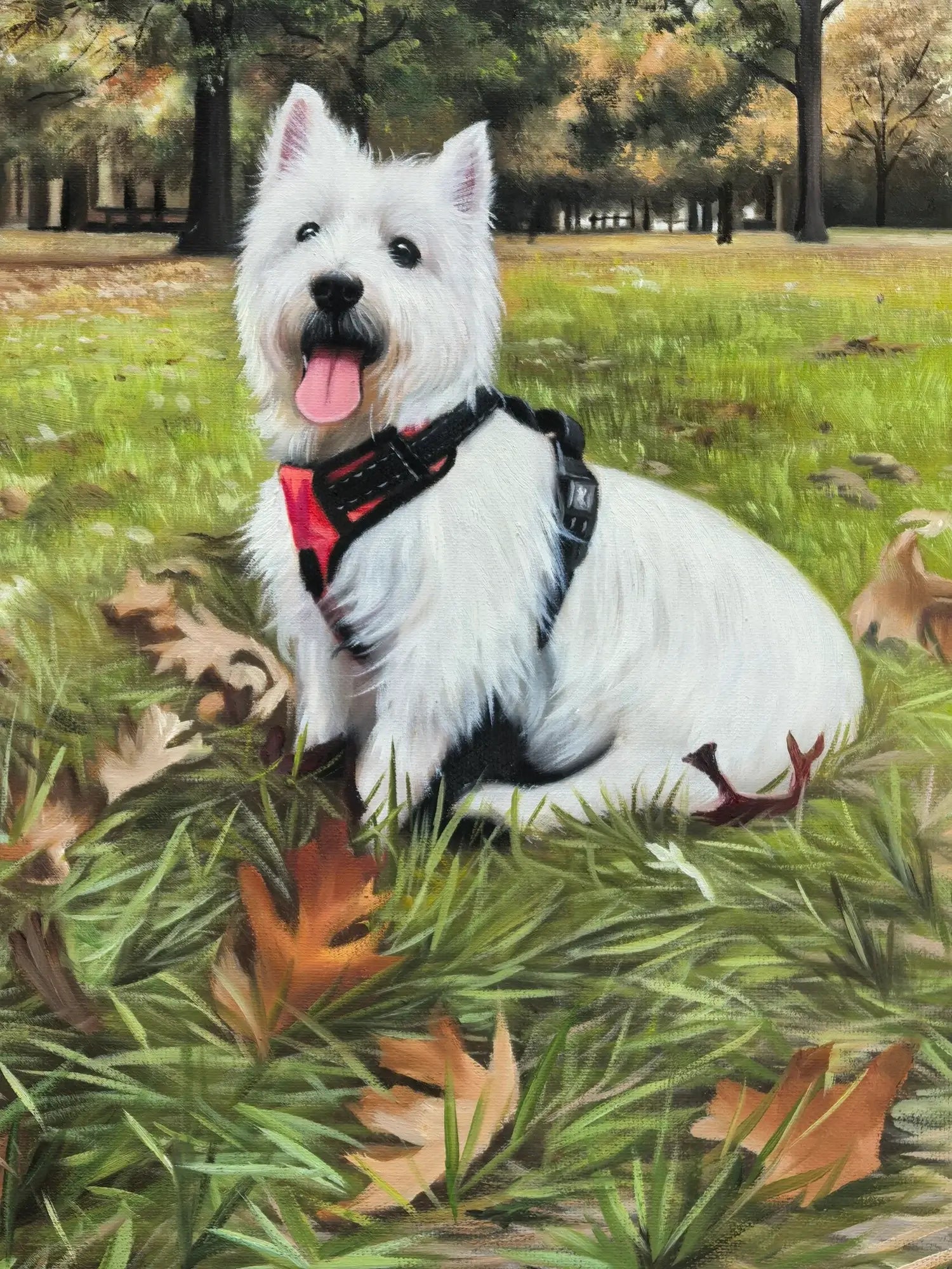 White dog with a red harness sitting on grass with fallen leaves